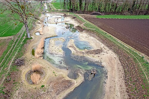 Hotspot di biodiversità esteso a 65 metri a St-Aubin (FR).