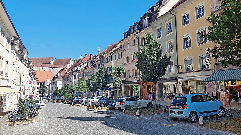 Piantumazione e realizzazione di fosse vegetate in rue Pierre-Péquignat, un’area protetta dal patrimonio.