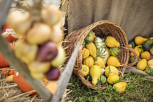 L’autunno è il periodo delle feste del raccolto.