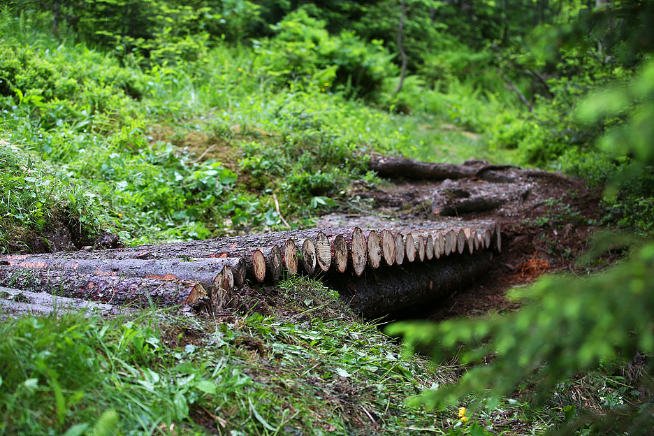 A causa della mancanza di luce solare, le vecchie passerelle in legno sono marcite rapidamente, diventando così pericolose.