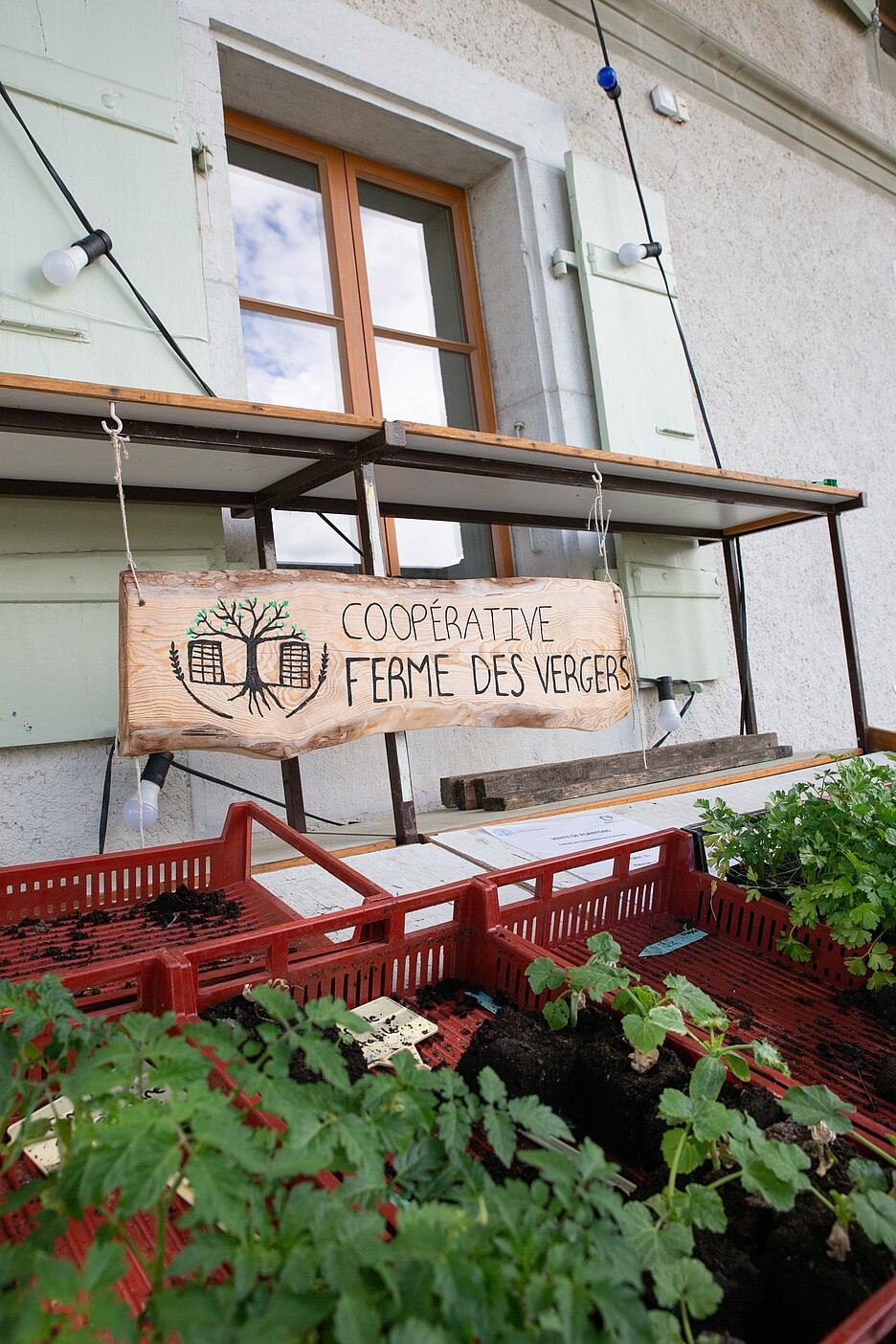 La cooperativa Ferme des Vergers a Meyrin.