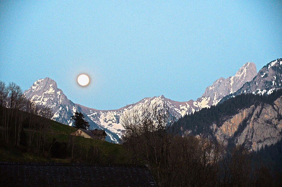 Il progetto «Paesaggio notturno» mira a promuovere la biodiversità notturna.