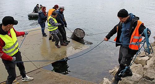 Quest’anno, Grenchen (SO) ha organizzato una giornata di pulizia del fiume Aare, durante la quale i sommozzatori e gli aiutanti hanno ripescato numerosi oggetti dal fiume.