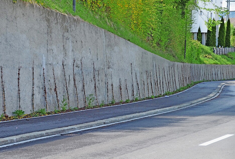 Pareti verdi lungo le strade.