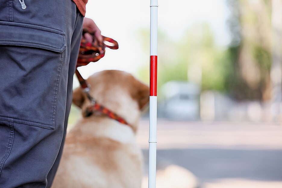 2107805123 I cani da assistenza sono ammessi nelle amministrazioni comunali? È importante saperlo.