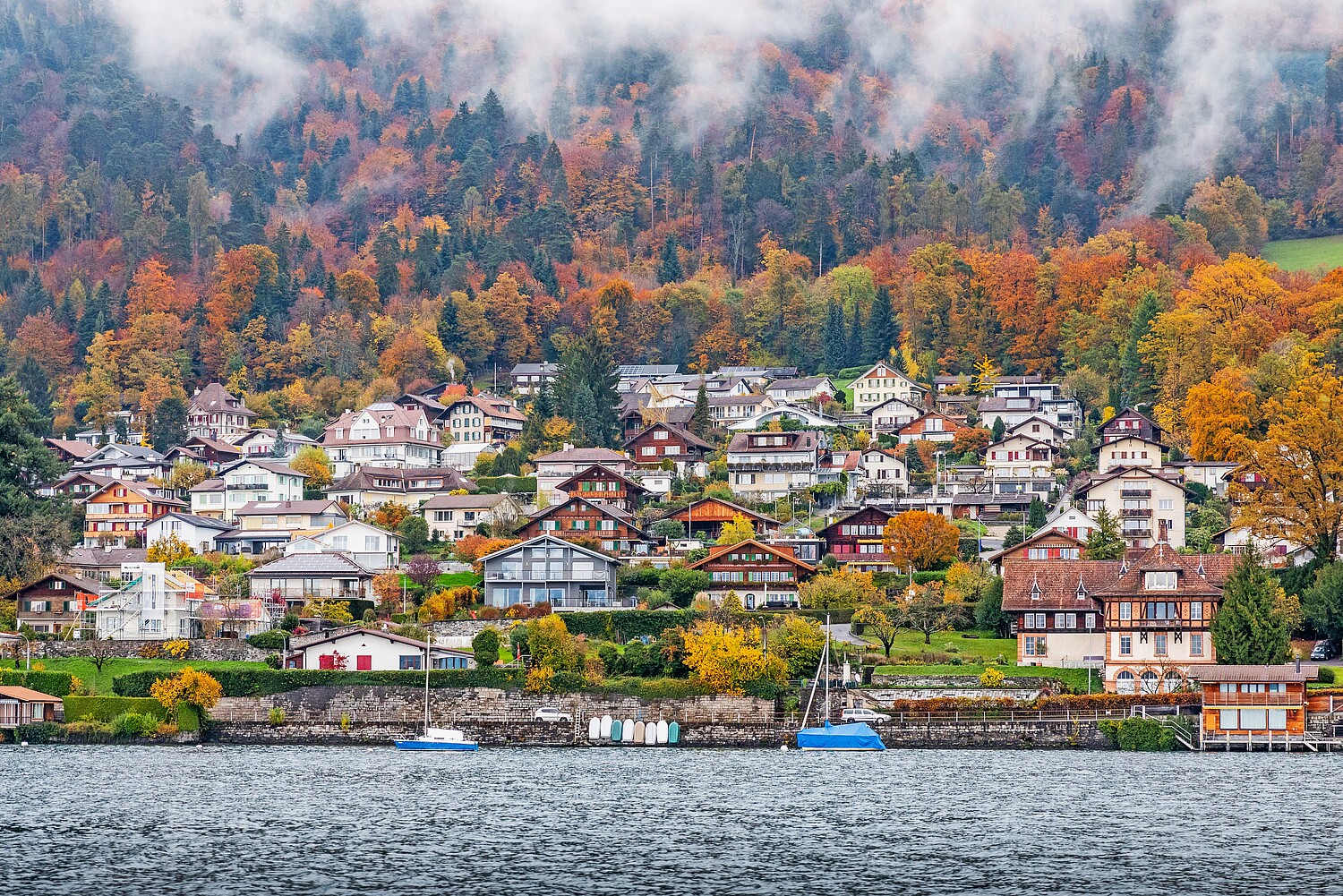 Snow-capped,Mountain,With,Colorful,Of,Tree,In,Thun,Lake,,Interlaken,