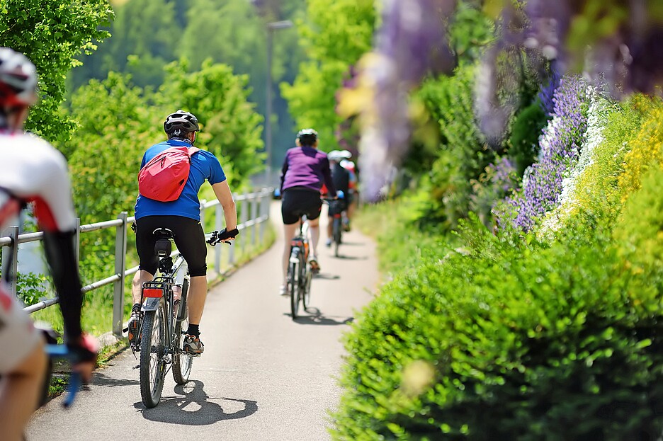 La bicicletta ha molti vantaggi: è silenziosa, salutare, ecologica, poco ingombrante ed economica.